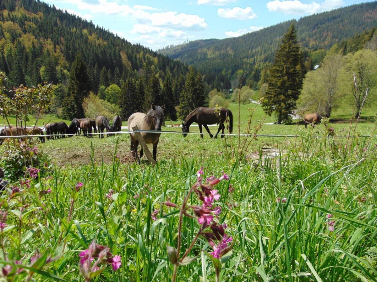 Penzion Medvedin Dolni Misecky Exterior foto