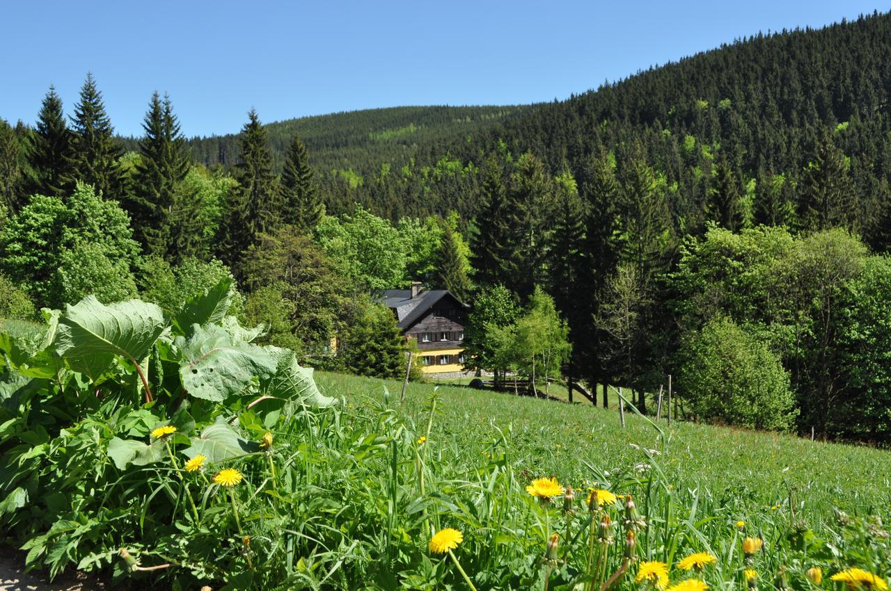 Penzion Medvedin Dolni Misecky Exterior foto